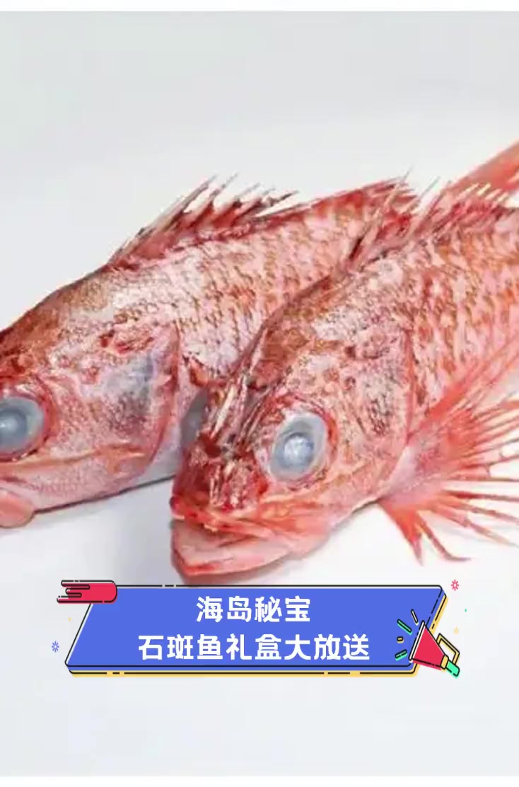 海岛秘宝,石斑鱼礼盒大放送