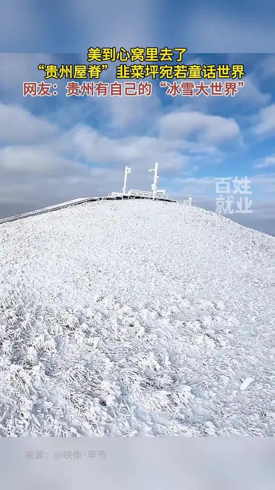美到心窝里去了,“贵州屋脊”韭菜坪宛若童话世界,网友:贵州有自己的“冰雪大世界” 