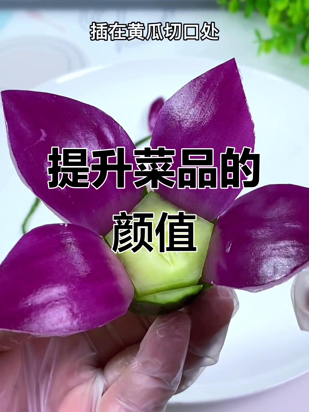 菜品摆盘技巧大揭秘,如何让你的菜肴瞬间升级