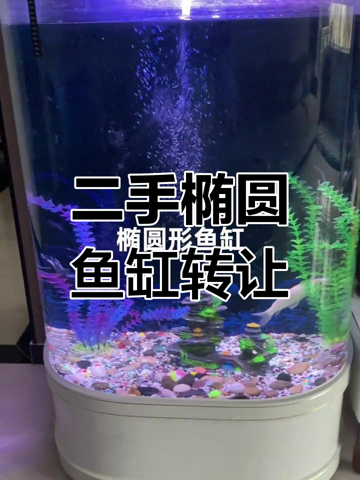 全新椭圆形鱼缸,尺寸适中,超值二手货等你拿