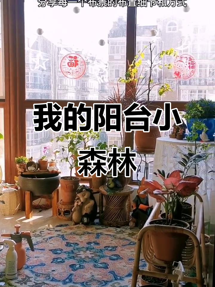 阳台花园设计全揭秘:从网格挂架到绿植布置细节