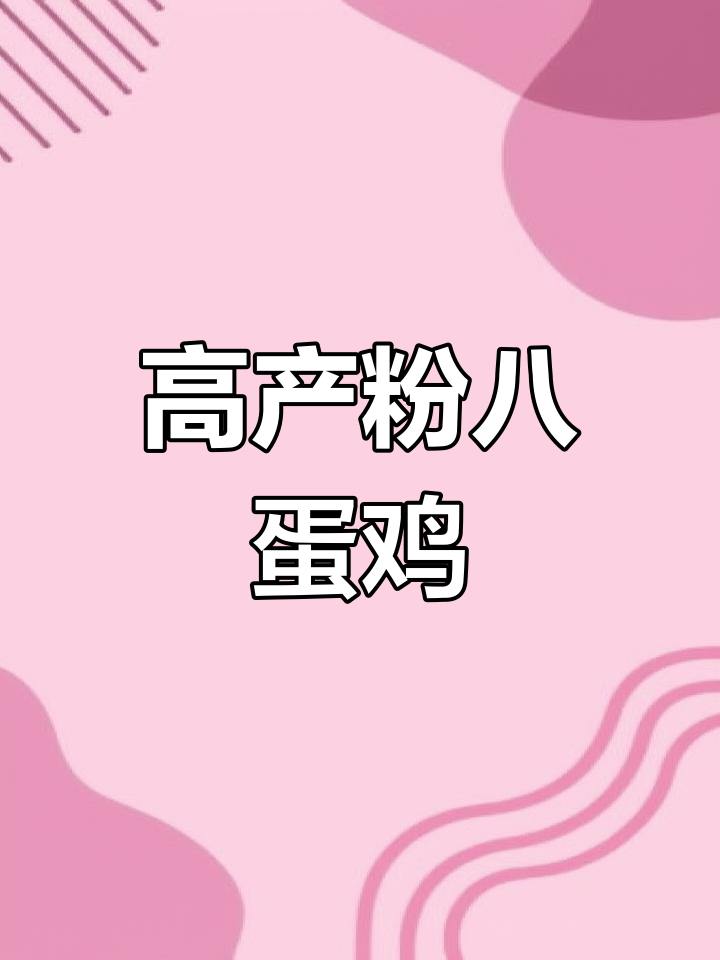 粉八蛋鸡:年产超多鸡蛋的“皇冠”品种