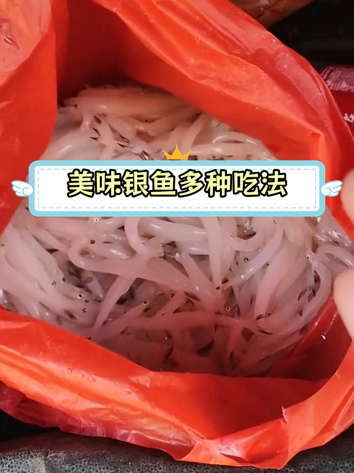 陆浑水库野生银鱼大丰收,多种做法任你选