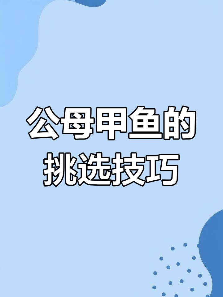 甲鱼公母怎么选?口感与营养大揭秘