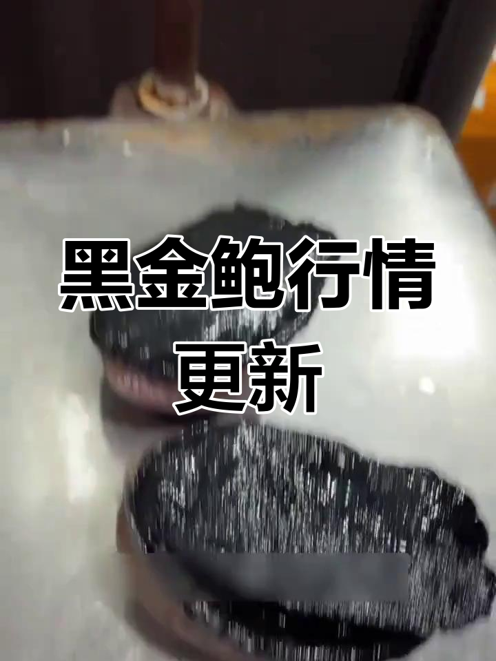 上海江阳市场黑金鲍批发价145元