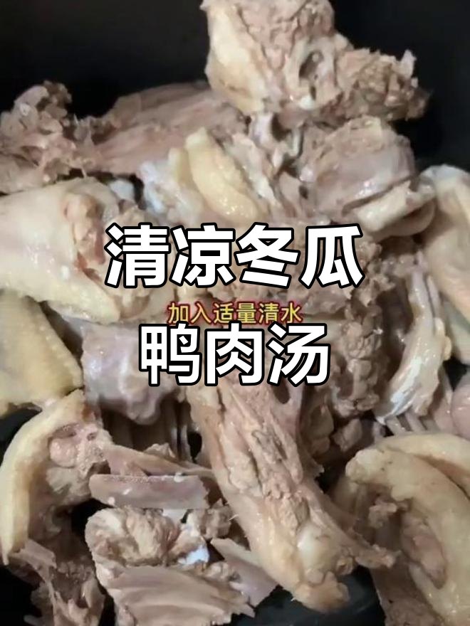 夏日清凉冬瓜鸭肉汤,解暑开胃必备家常菜