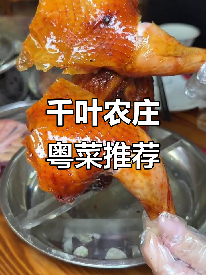 三水千叶农庄:粤菜美食全攻略,美味不容错过