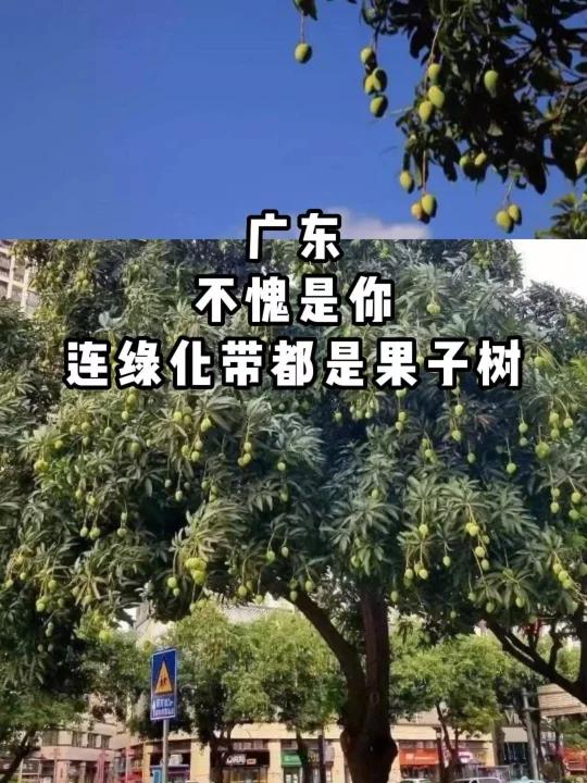 听说广东绿化带也可以吃?