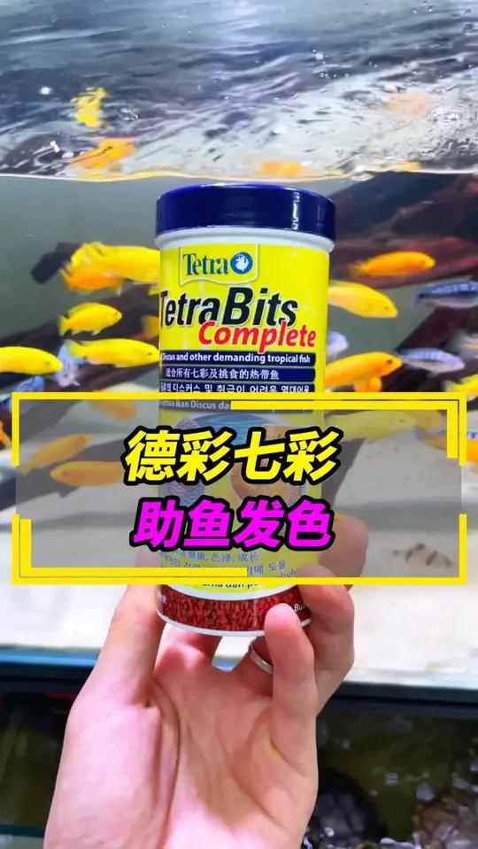 德彩七彩鱼粮～