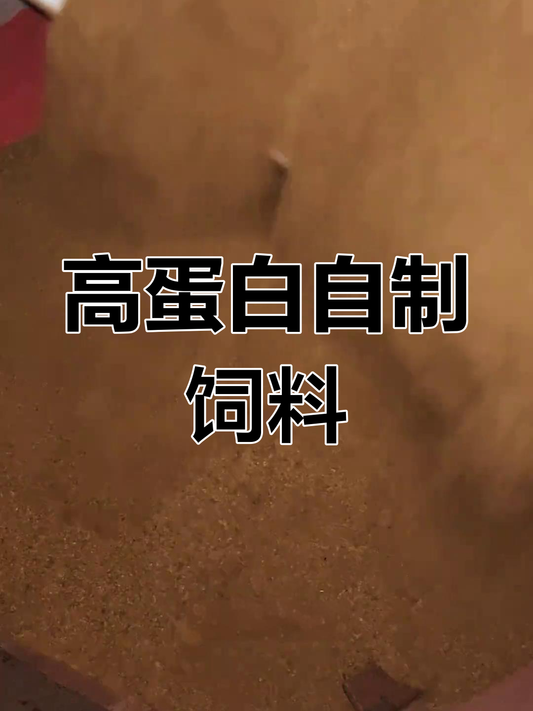 自制高蛋白饲料,鱼虫虾粉全搞定