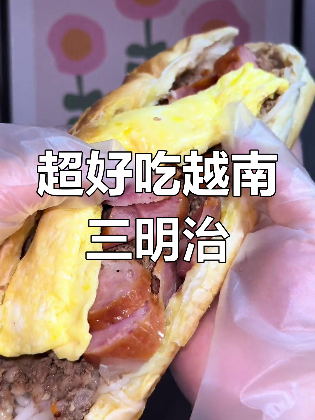 越南三明治,夹料超多!