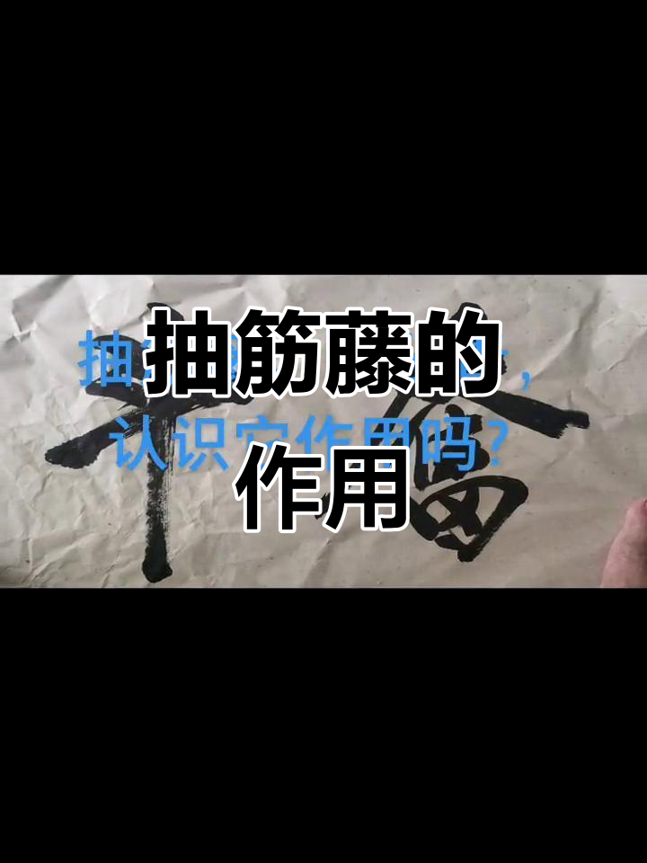 抽筋藤到底有什么神奇作用?