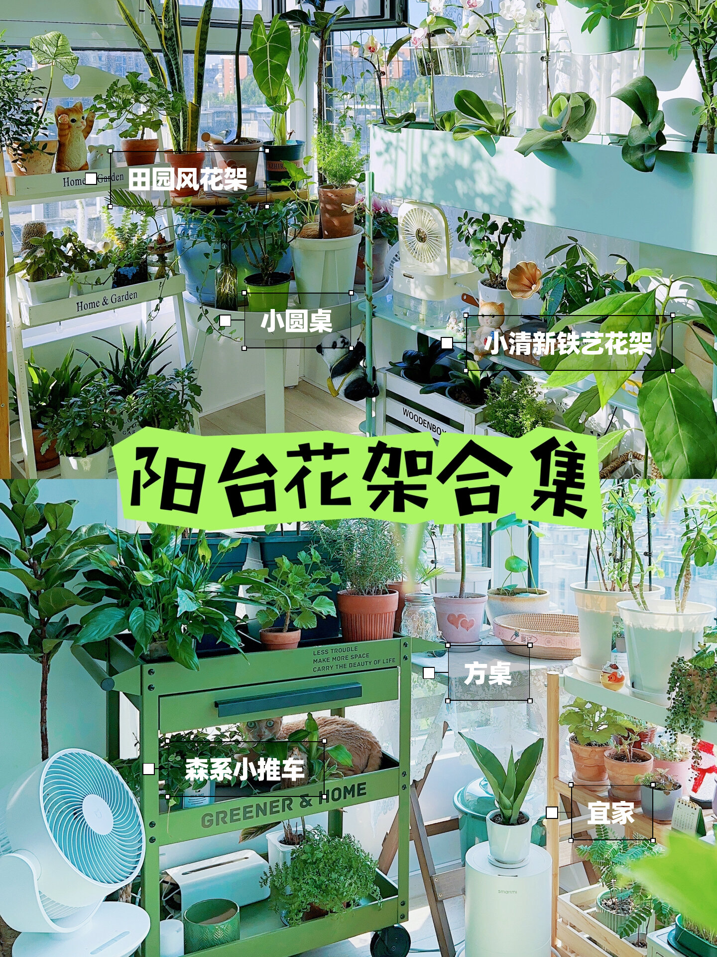 阳台花架合集|六个花架的分享全在这里啦