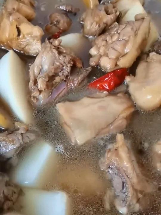 萝卜赛人参,和土公鸡红烧一锅很美味