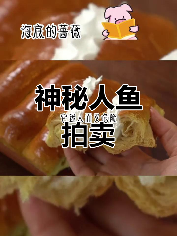 黑市拍卖美人鱼