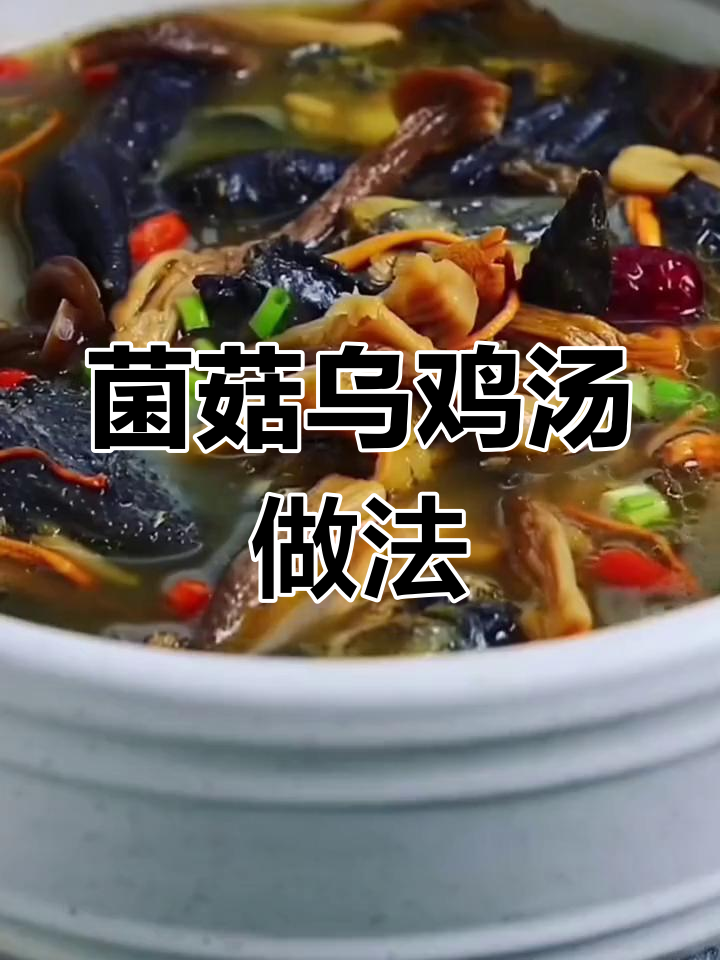 乌鸡汤炖法大揭秘,简单又美味