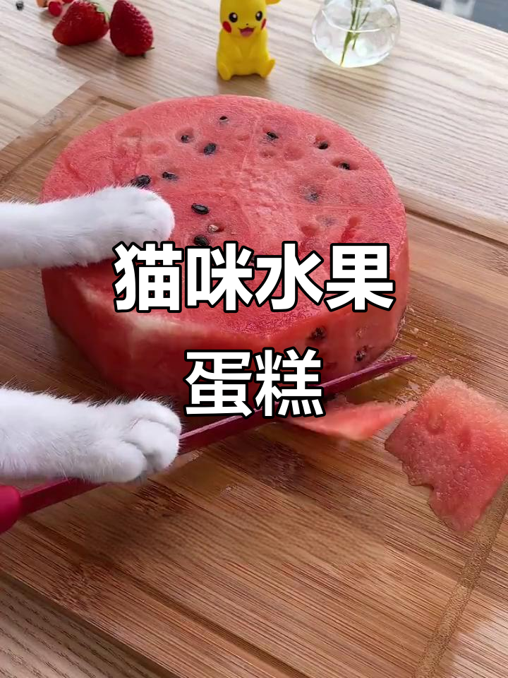 这只猫竟然用水果做蛋糕,太神奇了!