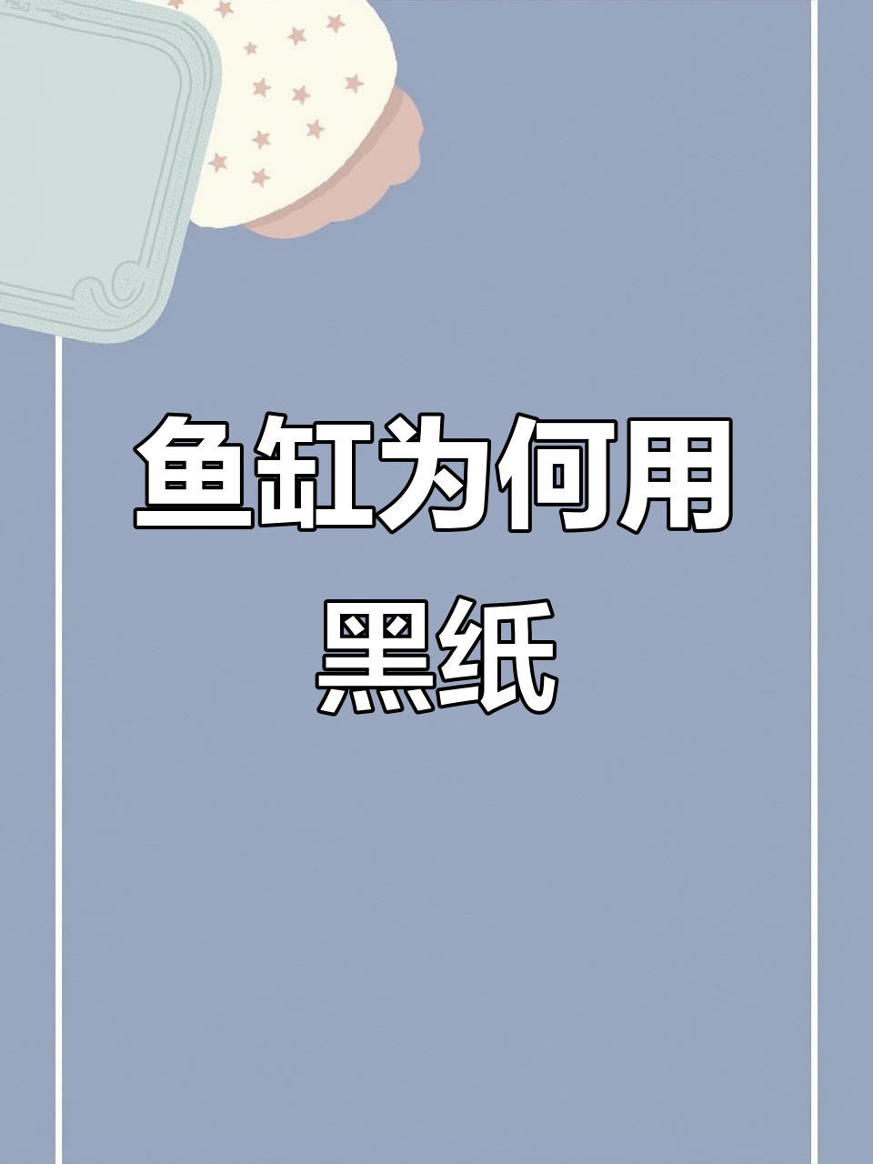 为什么鱼缸要贴黑色背景纸?鱼儿更健康,颜色也更美