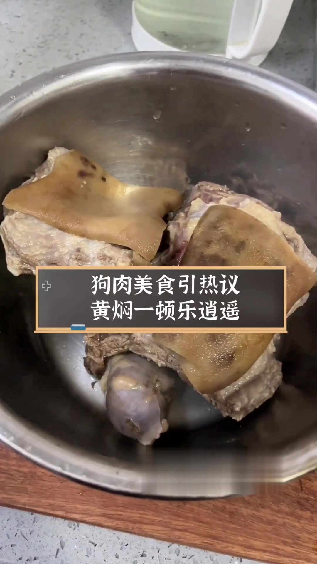 狗肉美食引热议,黄焖一顿乐逍遥