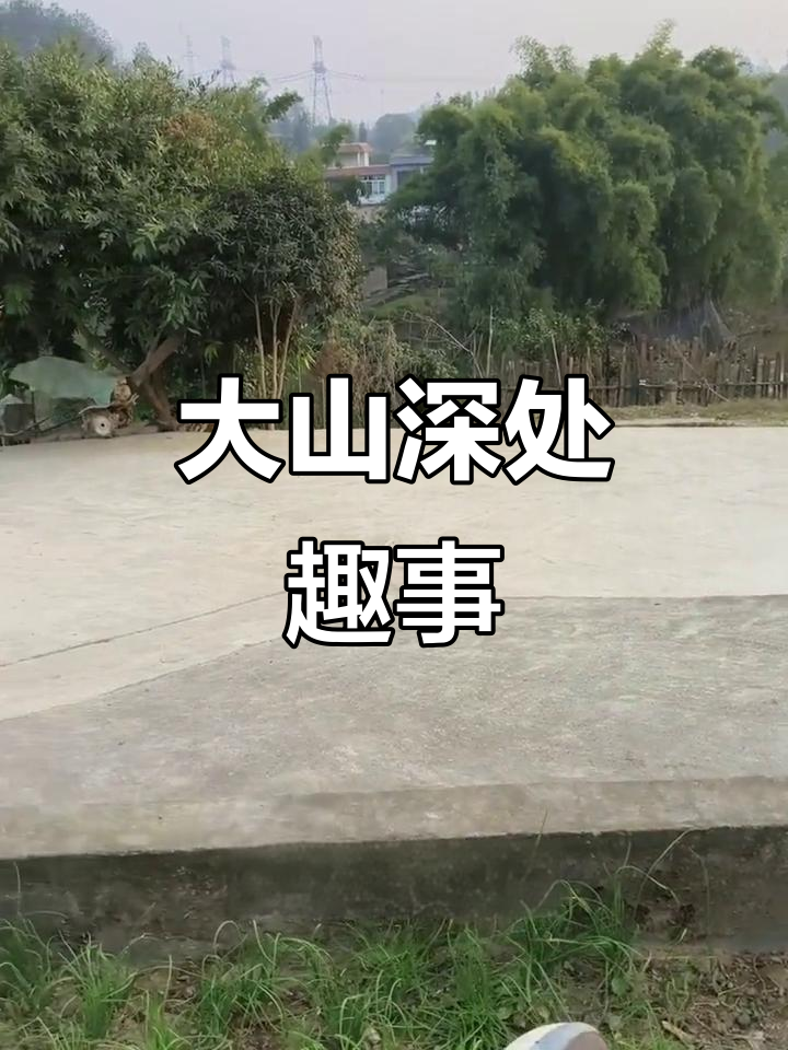 山上挖野菜,搞笑对话不停