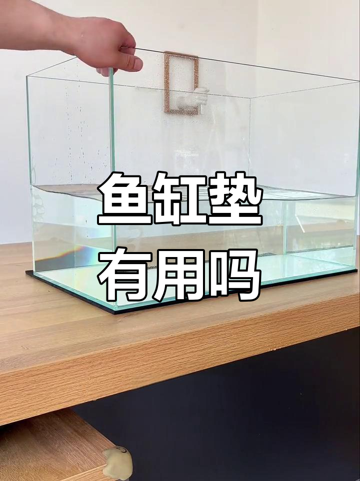 鱼缸垫到底有必要买吗?防止爆缸、保温防滑全搞定