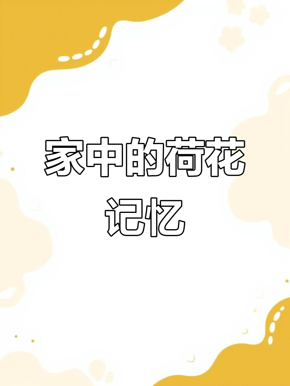 12年如一日,荷花壁纸见证家的温暖与坚持