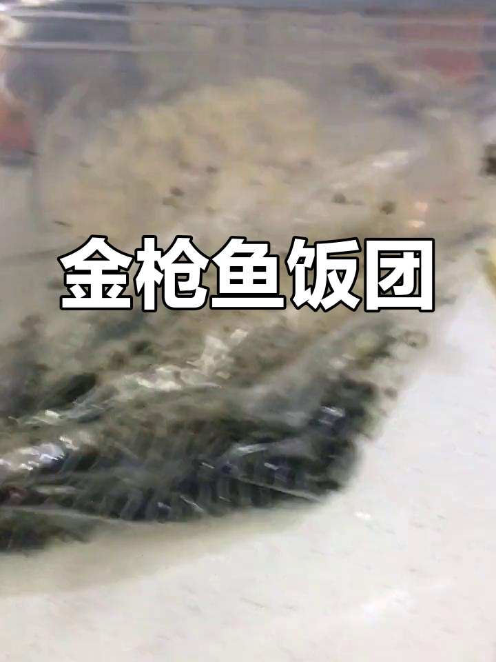 韩国风味金枪鱼饭团,大连美味体验