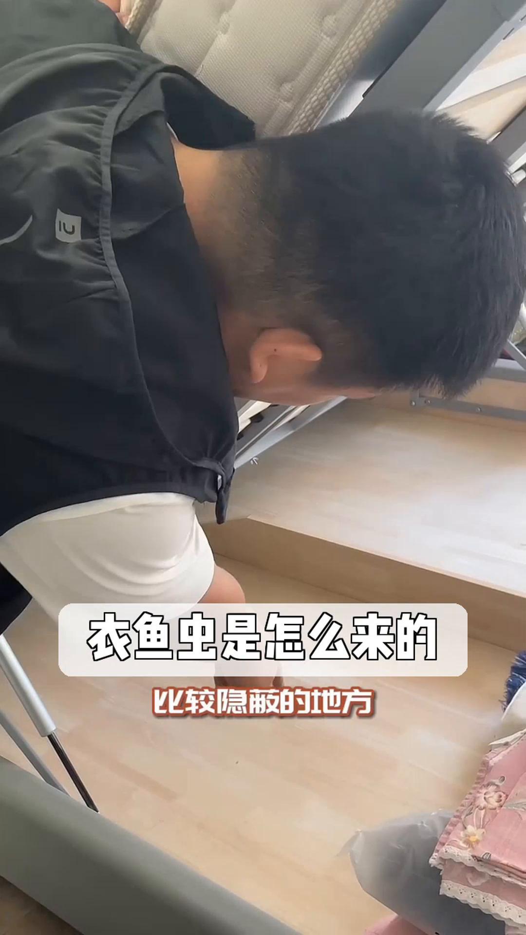 衣鱼虫是怎么来的?