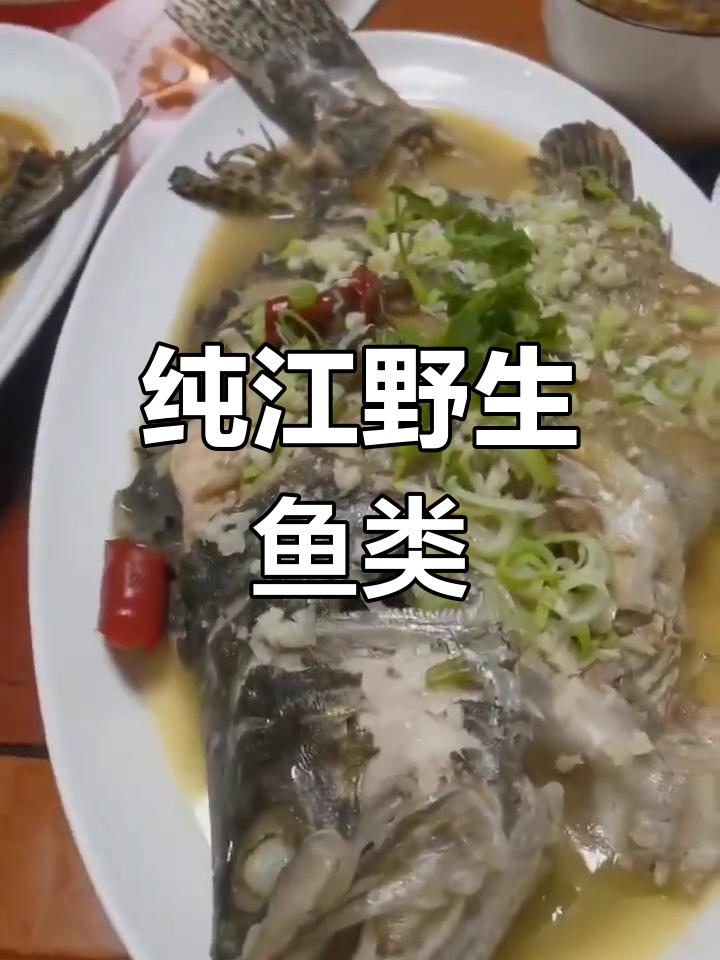 抚远市江野生鱼大集合