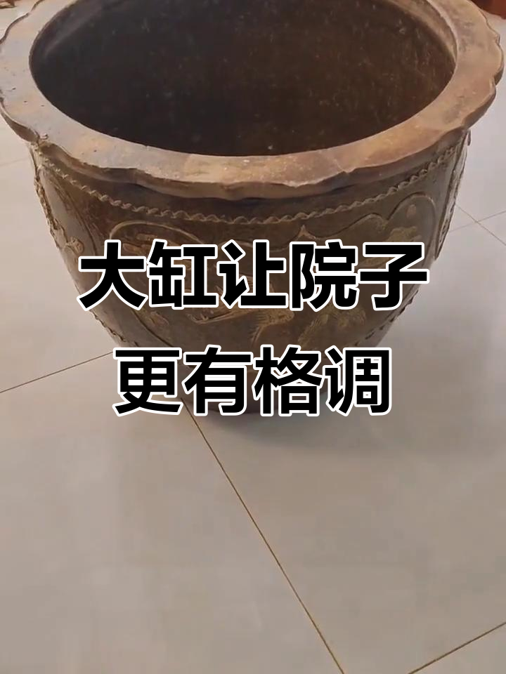 古董大缸,院中添彩,夏天养花喂鱼更美