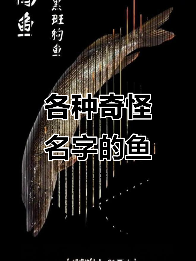 狗鱼、鸭鱼、猫鱼……这些“怪”名字背后,原来都是这种鱼!
