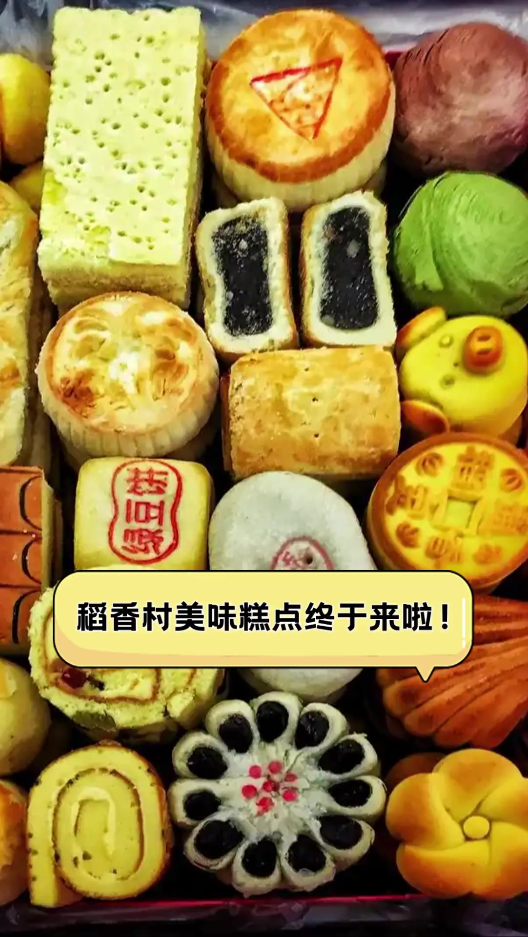 稻香村美味糕点终于来啦!
