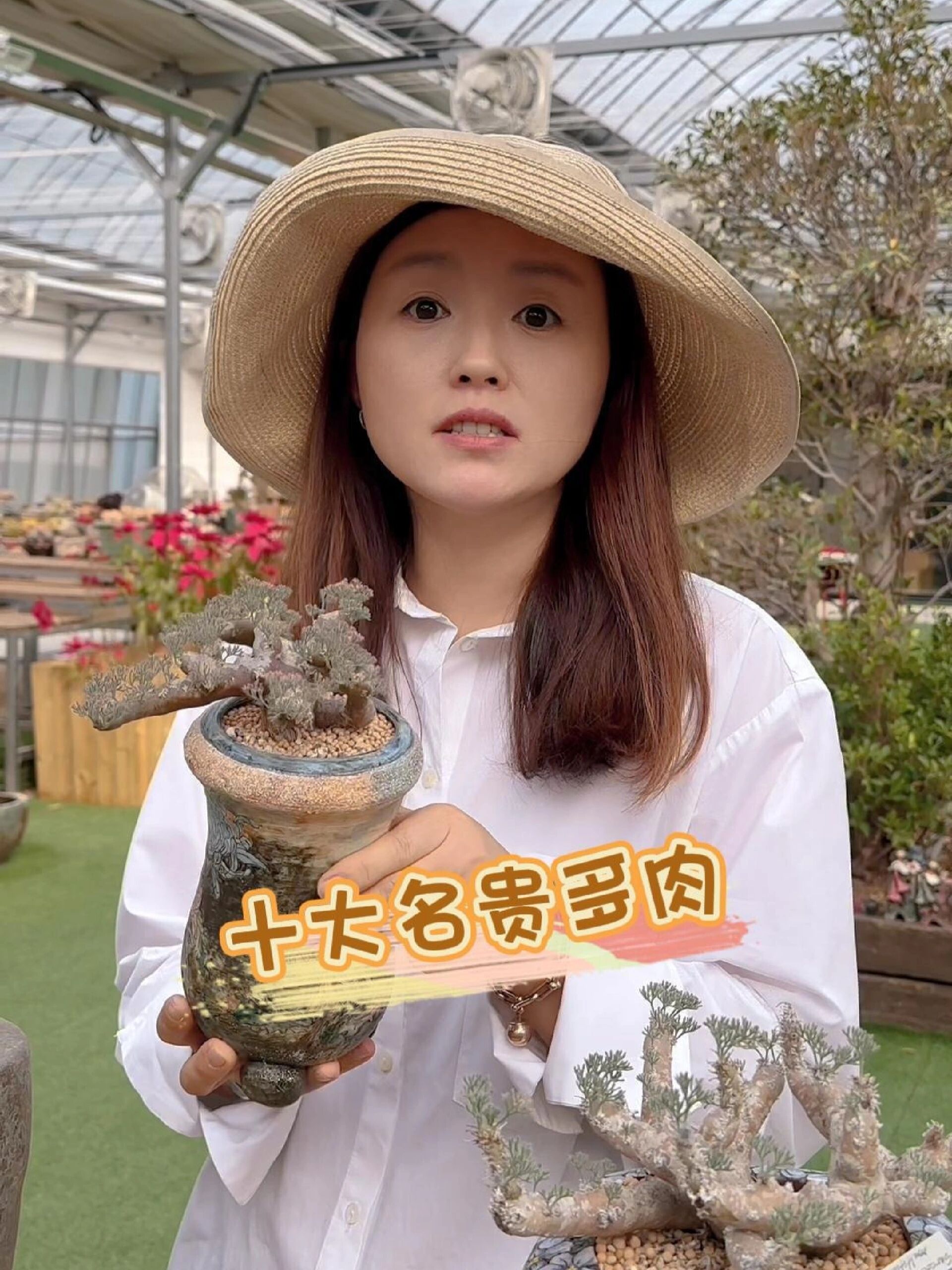 十大名贵多肉～