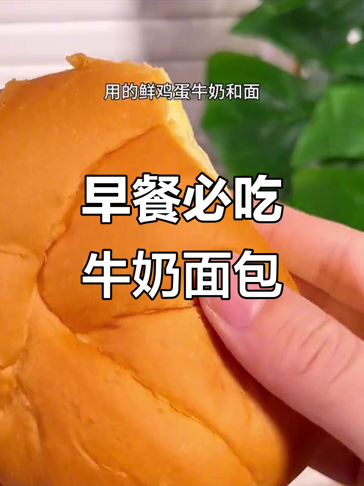 奶香老面包,早餐必备!绵密到能拉丝的完美口感