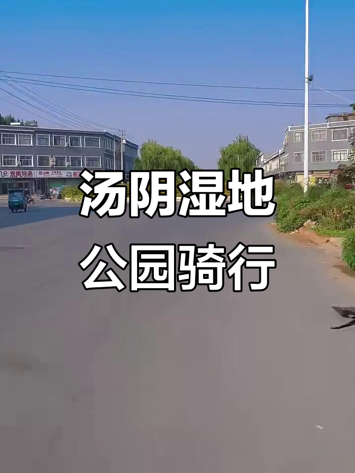 骑行打卡汤阴湿地公园,鹤壁美景尽收眼底