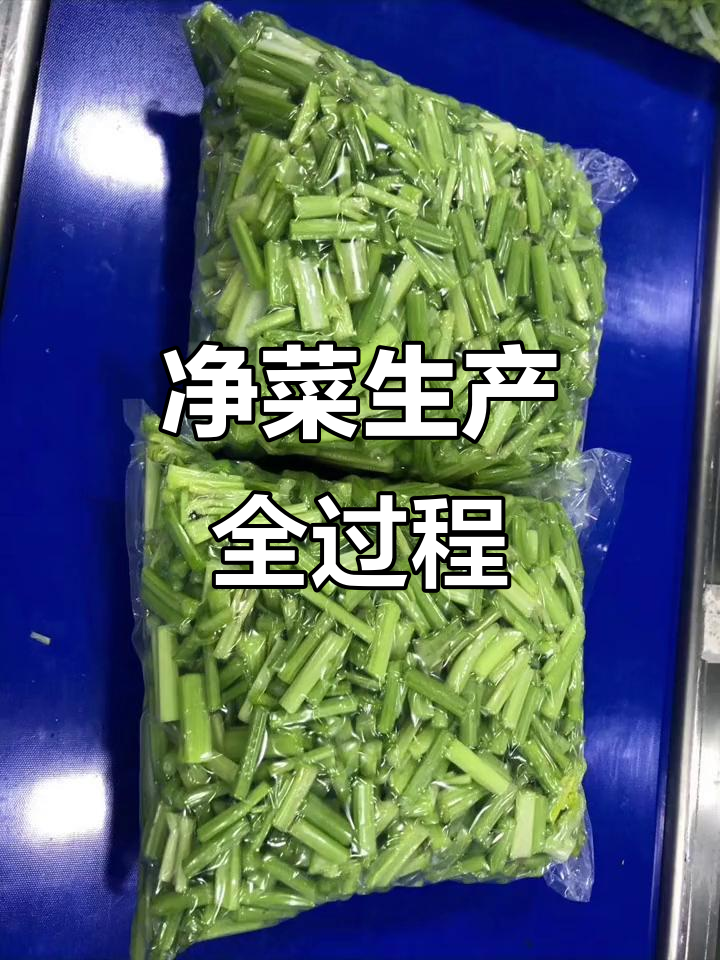 蔬菜净菜加工全流程揭秘，智能工厂实拍！