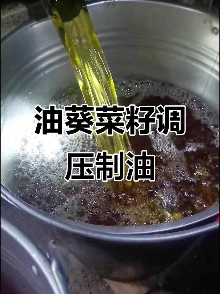 河南商丘客户实拍:油葵菜籽调和压榨,效果超乎想象