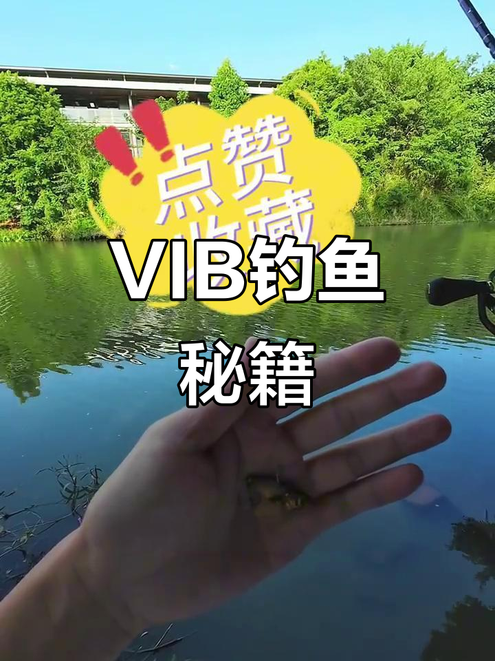 掌握四种技巧,轻松钓上大鱼!