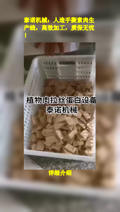 泰诺机械:人造手撕素肉生产线,高效加工,质保无忧!