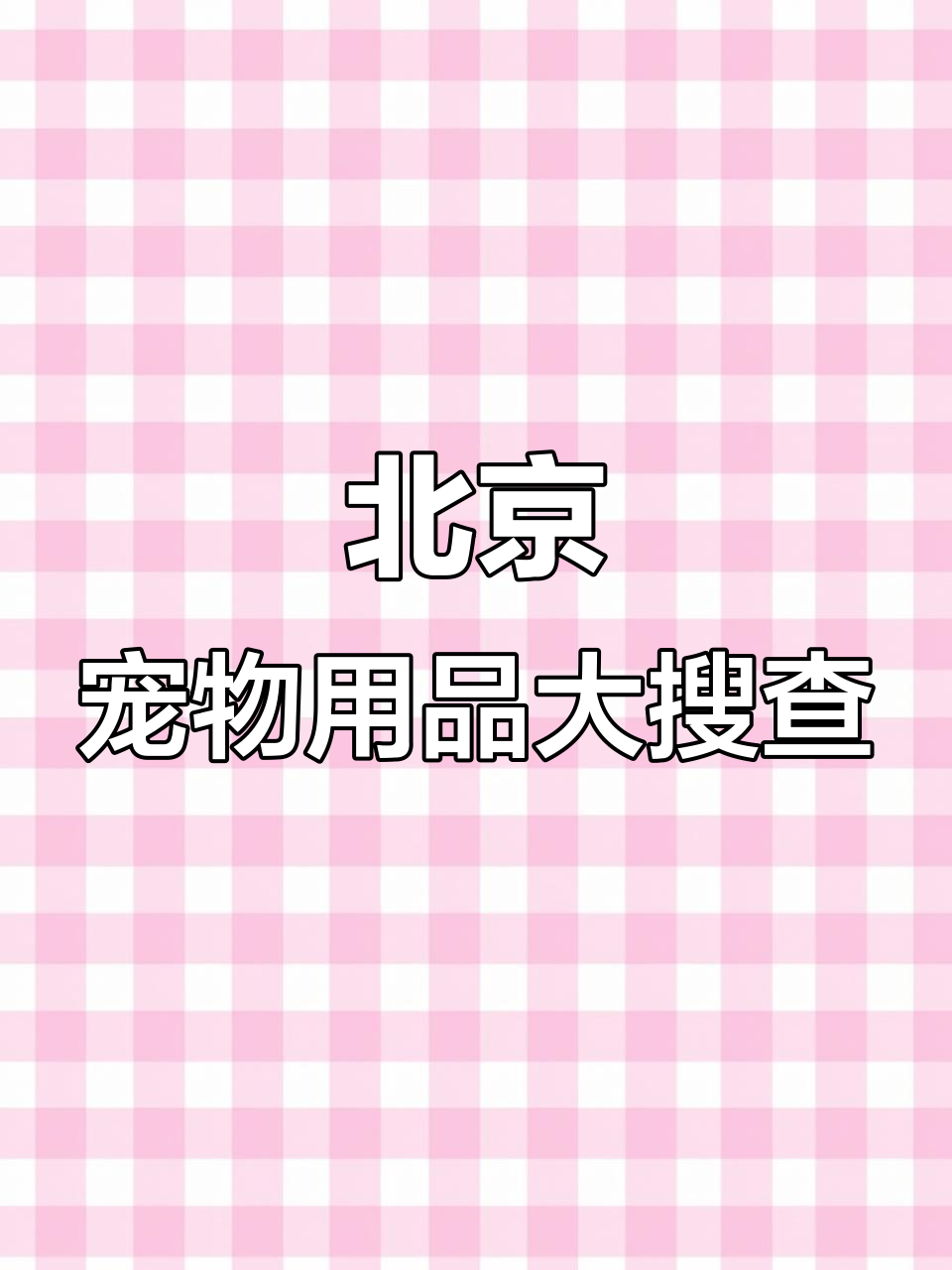 逛宠物市场,大白鸭、逗猫棒全都有!