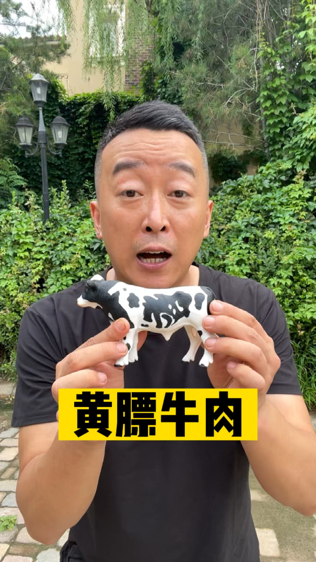 黄膘牛肋排那些不为人知的事儿