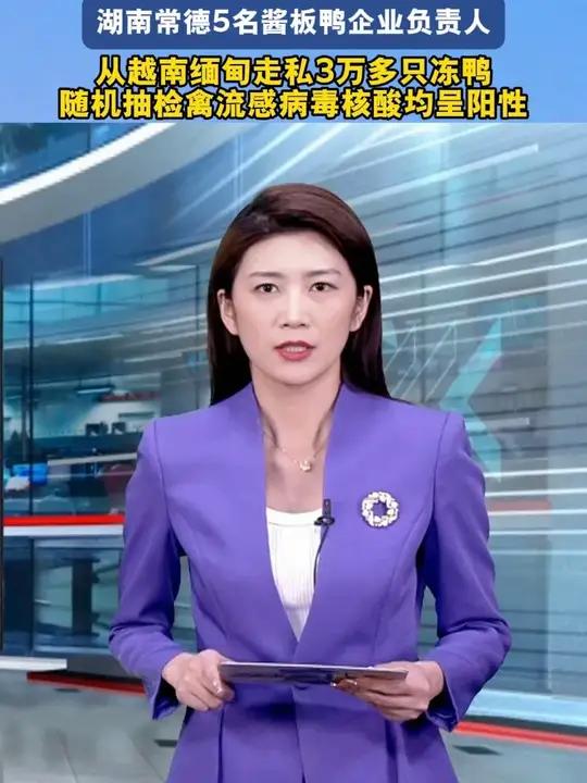 只因想降低成本多赚钱 湖南常德5名酱板鸭企业负责人 从越南缅甸走私3万多只冻鸭 随机抽检禽