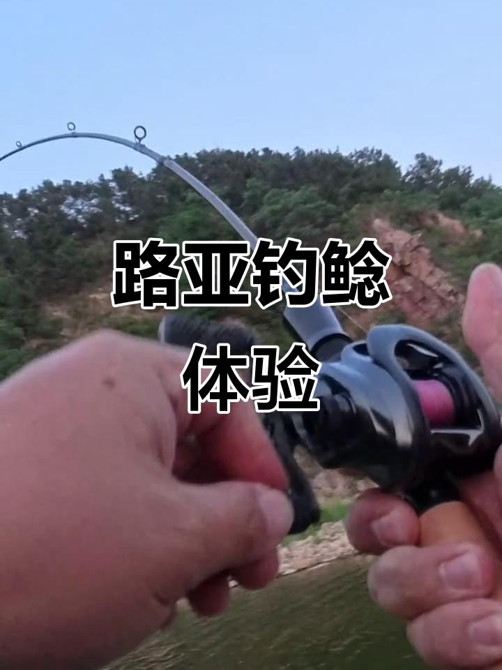 路亚钓鲶鱼,挑战极限操作!
