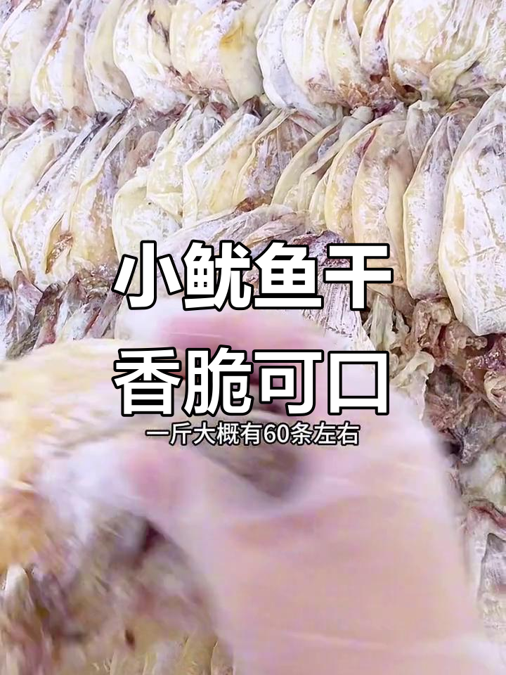 湛江小鱿鱼干,油煎烧烤都能吃出美味停不下来