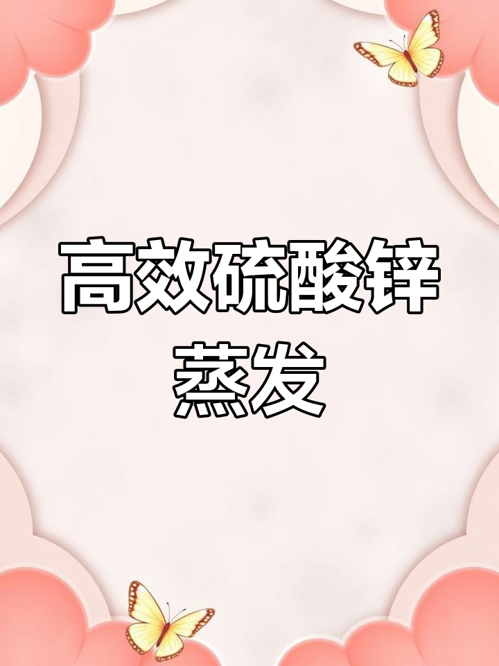 硫酸锌蒸发器安装与运行效果