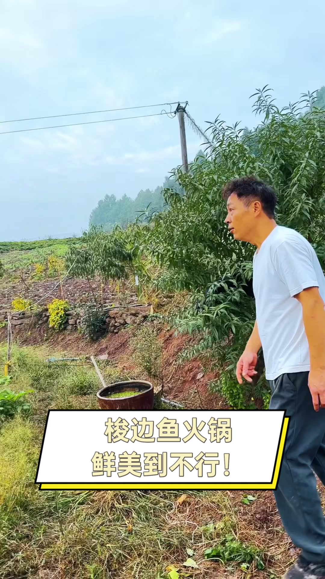 梭边鱼火锅,鲜美到不行!