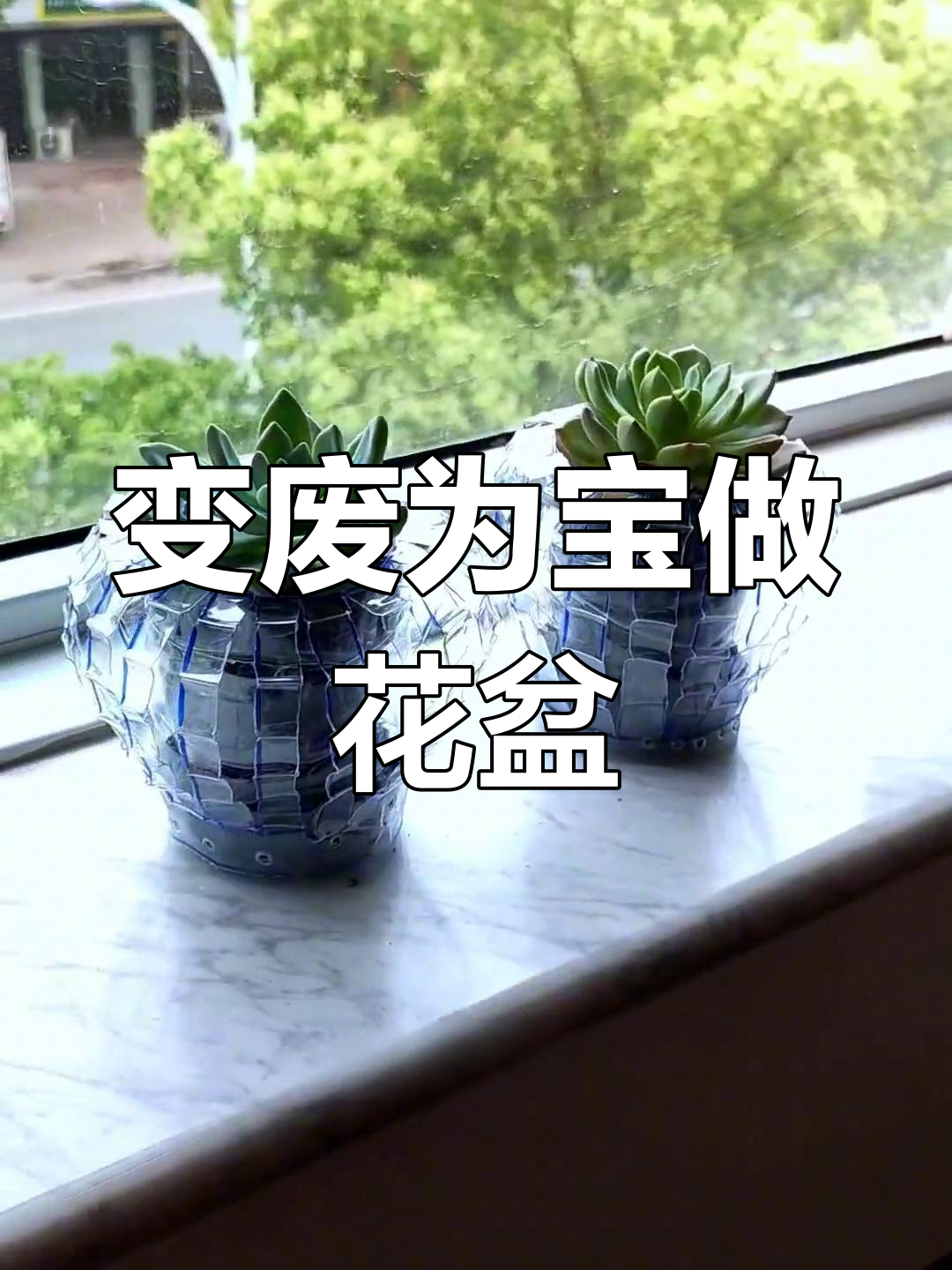 废瓶子变创意花盆,轻松打造高端多肉种植容器