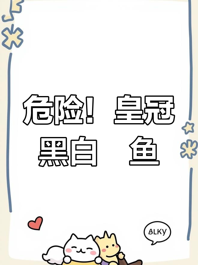 皇冠黑白魟鱼:攻击性强,价格暴跌
