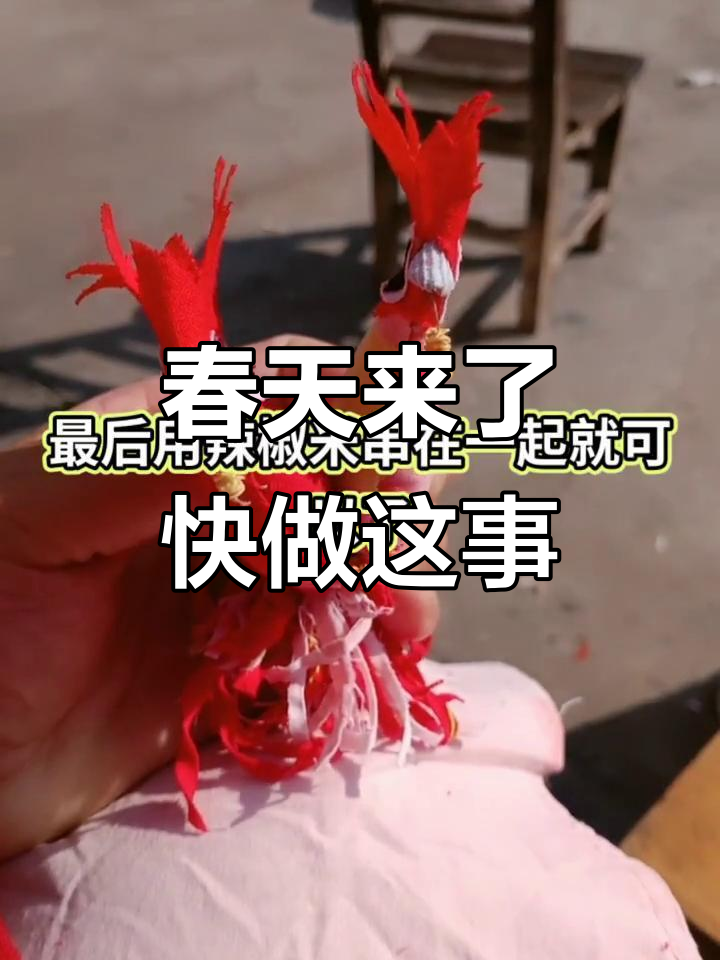 明天打春,别忘了缝公鸡!