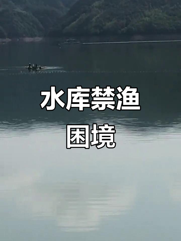 景宁水库禁捕,钓鱼也受限,大捕捞却无人监管